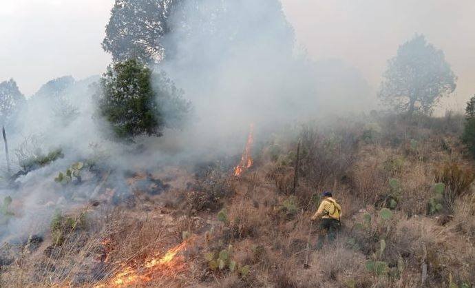 Riesgo extremo de incendios en Sierra de Arteaga: autoridades advierten sobre fogatas y quema de basura