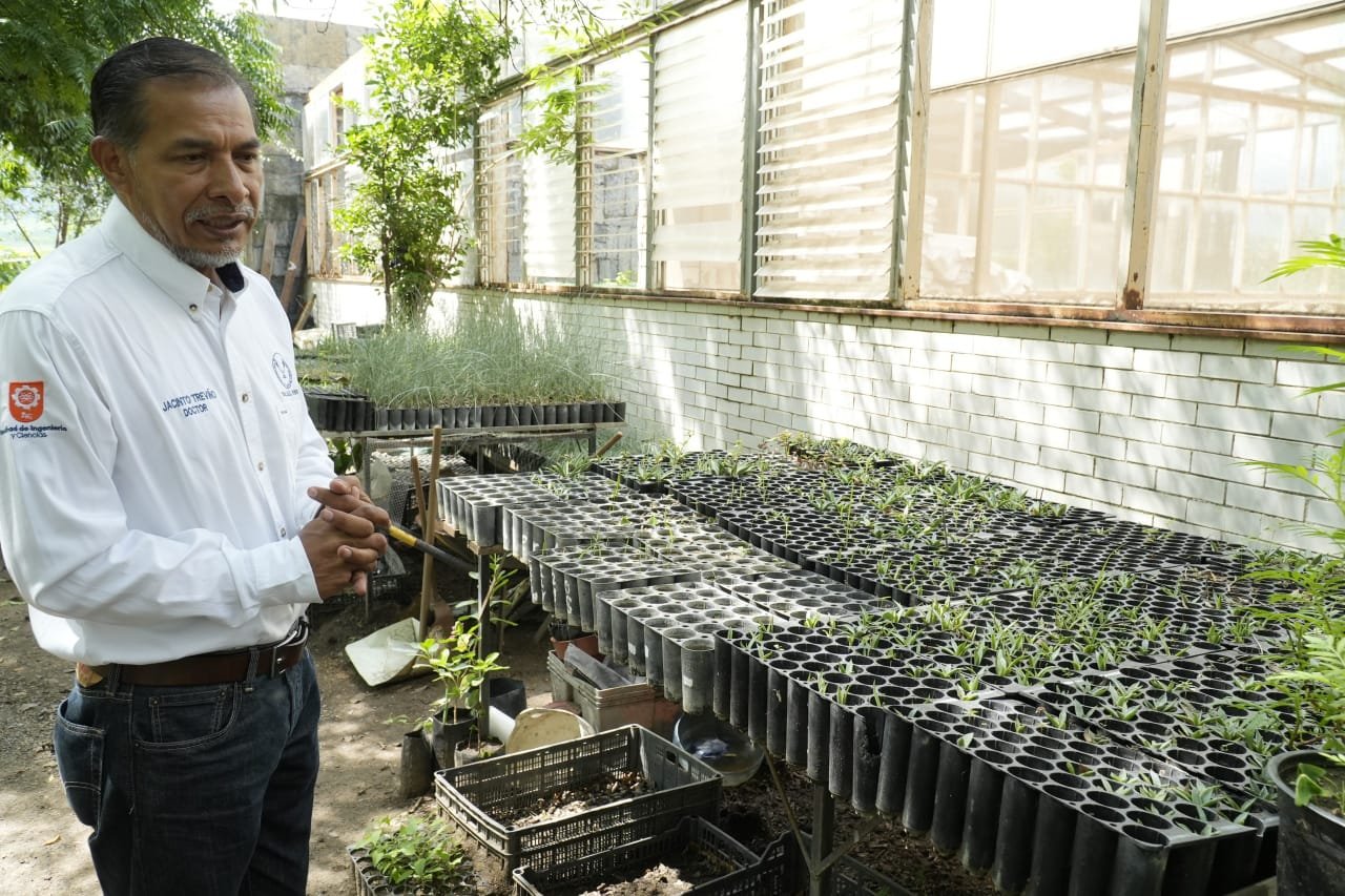 Implementa la UAT manejo sustentable del maguey mezcalero en Miquihuana