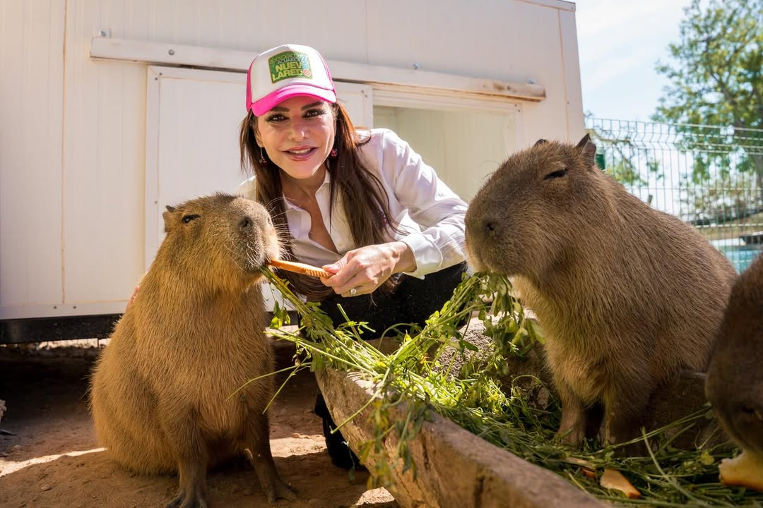 Con los más populares del Zoo 😜🐾Que por cierto los esperan en las actividades del zoo para pasar un bonito domingo fam…