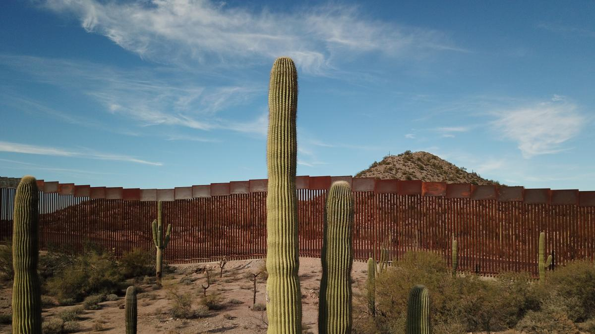 El Pinacate y Gran Desierto de Altar van a la Lista de Patrimonio Mundial en Peligro