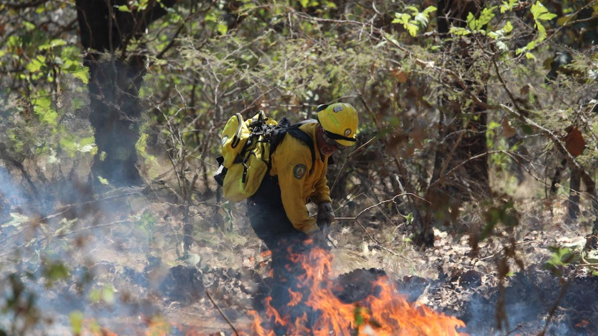 Lluvias y ‘El Niño’ frenan el impacto de incendios forestales en el país