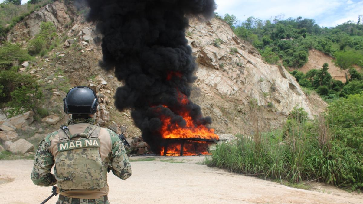 Destruyen dos toneladas de drogas aseguradas en Acapulco y CDMX