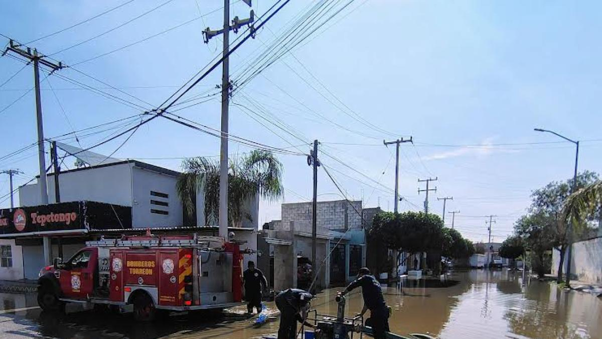 Lluvias en Torreón, Coahuila, dejan encharcamientos y árboles caídos