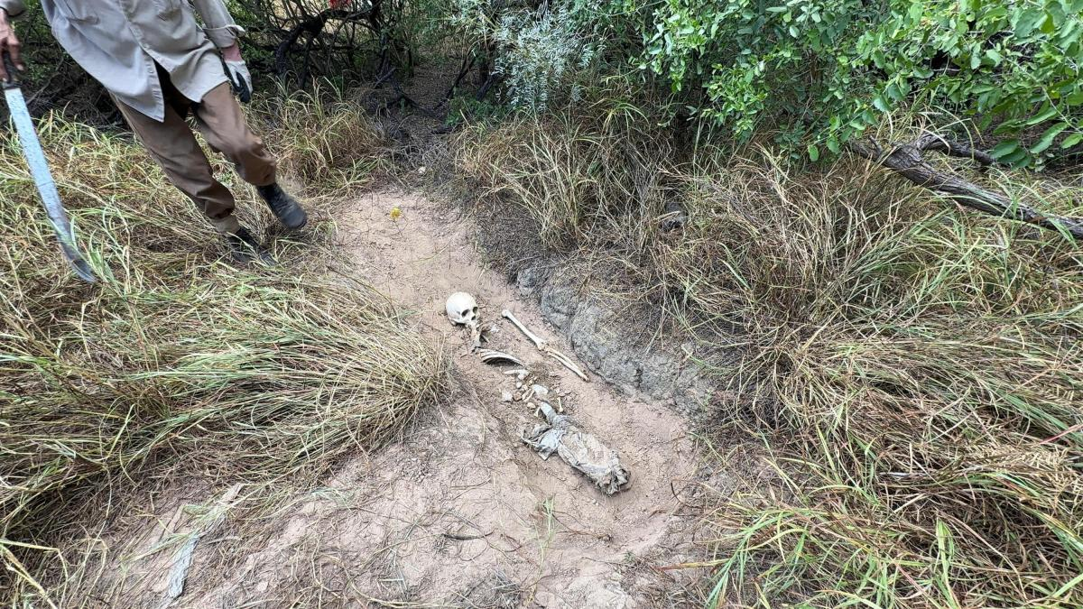 Colectivo localiza siete cuerpos en fosas clandestinas cerca del muro fronterizo