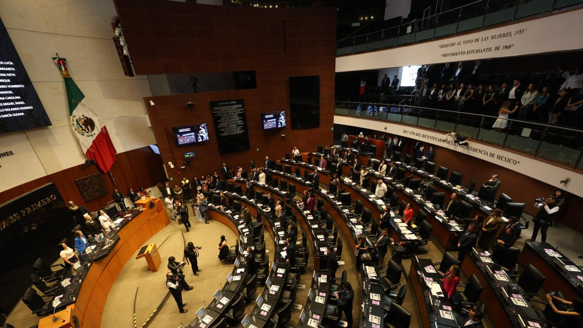 Piden senadores capacitar peritos para sancionar maltrato animal en el país