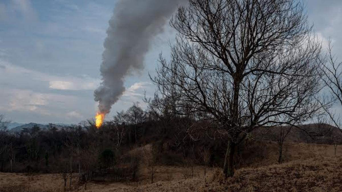 Daños ambientales incalculables y reses muertas alrededor del pozo Krem‑1
