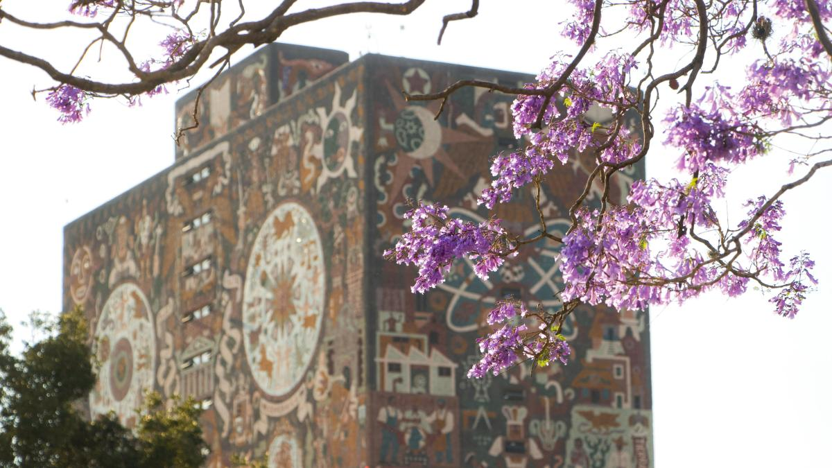 De la celebración a la sospecha: seleccionados de la UNAM enfrentan el estigma del examen en línea