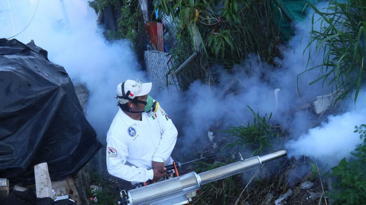 Veracruz sustituye insecticida certificado contra dengue por fórmula “casera”