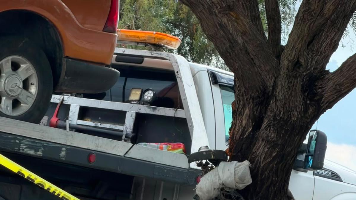 Camioneta atropella a un ciclista; lo deja prensado contra un árbol