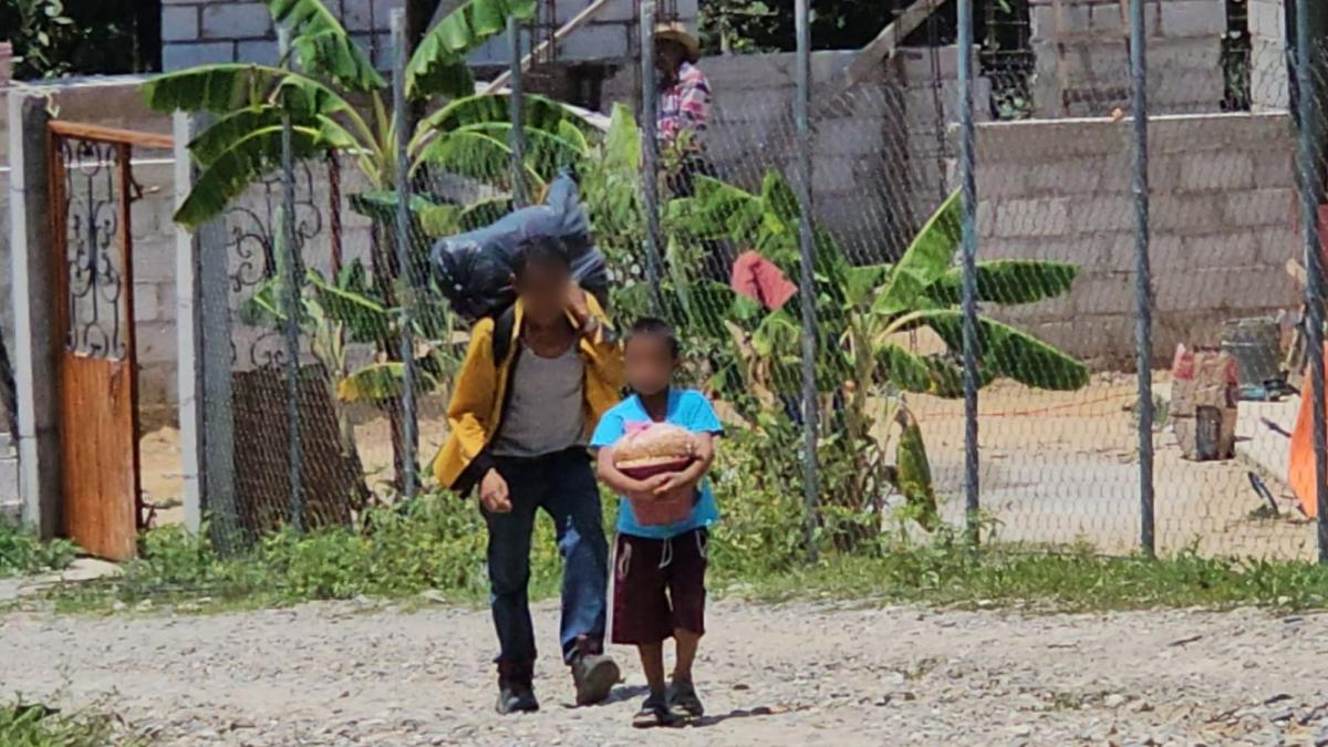 Retiro de autoridades desata éxodo en la sierra de Chilpancingo: 100 familias huyen por violencia