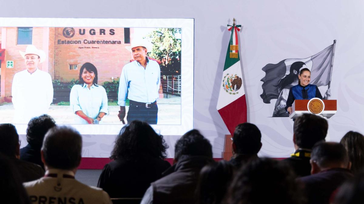 México reanuda exportación de ganado a EU desde Agua Prieta, Sonora