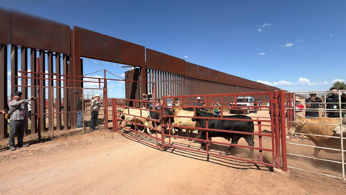 Ganaderos reconocen trabajo conjunto para reapertura de frontera de EU