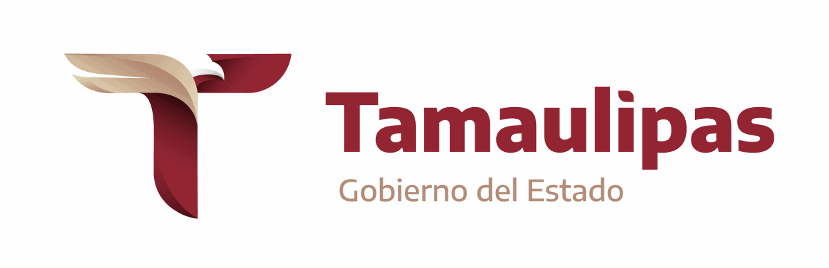Refuerza Voluntariado de la SSPT apoyo social en los cinco CEDES con entrega de sillas de ruedas – Gobierno del Estado de Tamaulipas