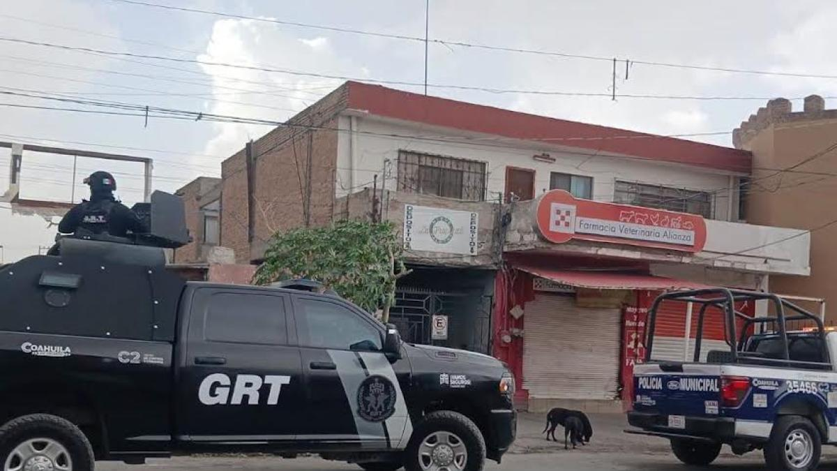 Buscan a pantera que salió a pasear en calles de Torreón, Coahuila