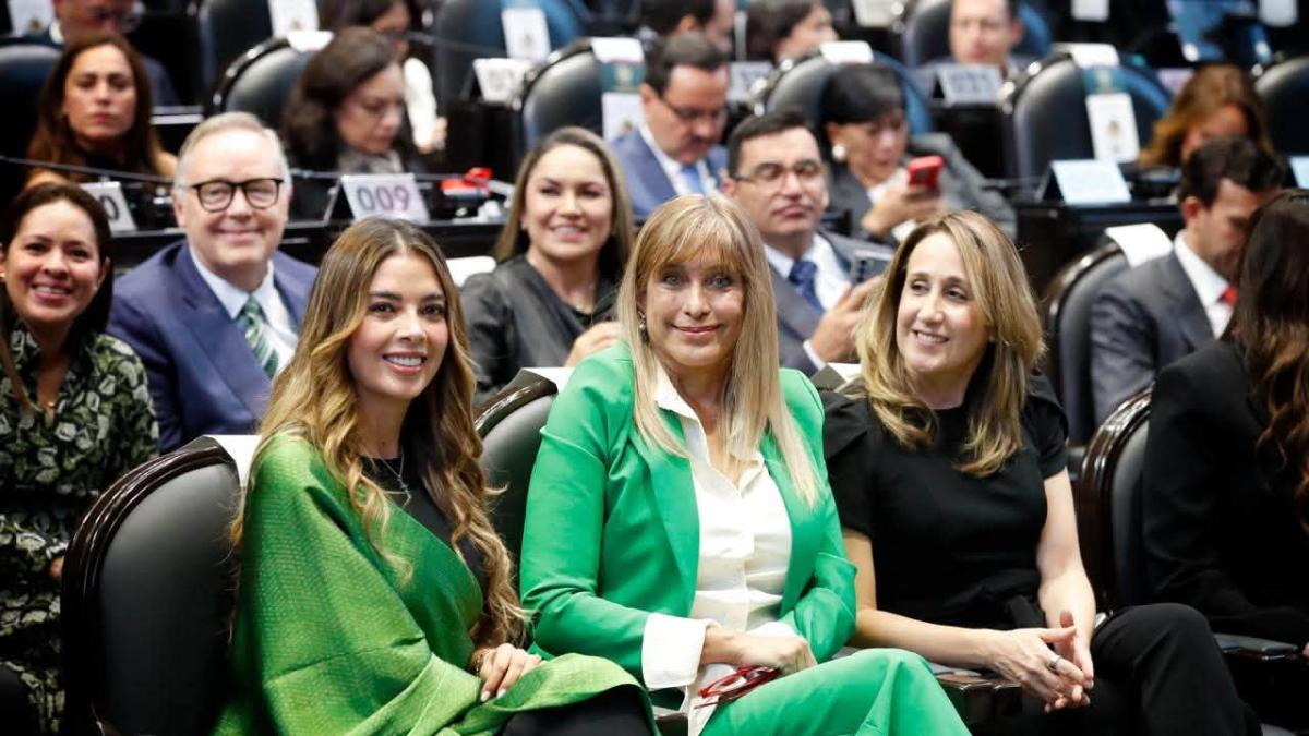 Caso de 43 perros en Tlaquepaque vincula protección animal con reforma del Partido Verde