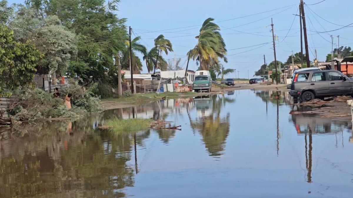 Tras el huracán Polo en BCS: familias lo pierden todo y enfrentan saqueos